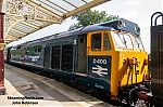 DSC_11401.jpg