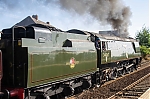 DSC_11423.jpg