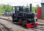 DSC_11424.jpg