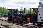 DSC_11431.jpg
