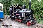 DSC_11436.jpg