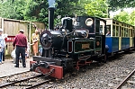 DSC_11439.jpg
