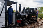DSC_11444.jpg