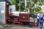 DSC_11449.jpg