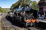 DSC_11565~0.jpg