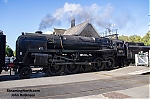DSC_11571.jpg