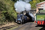 DSC_11581.jpg