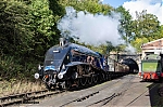 DSC_11586.jpg