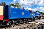 DSC_11595.jpg