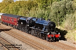 DSC_11628.jpg