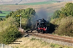DSC_11629.jpg
