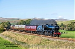 DSC_11632.jpg