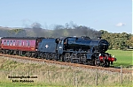 DSC_11634.jpg