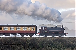 DSC_11663~0.jpg