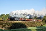 DSC_11696.jpg