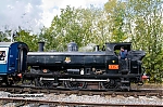 DSC_11726.jpg