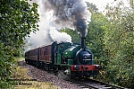 DSC_11731~0.jpg