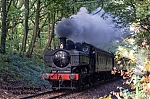 DSC_11741.jpg