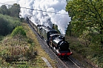 DSC_11765.jpg