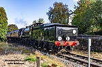 DSC_11770.jpg