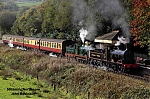 DSC_11772.jpg