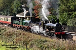 DSC_11775.jpg