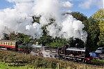 DSC_11777.jpg
