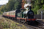 DSC_11785.jpg