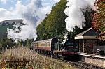 DSC_11789.jpg