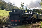 DSC_11791.jpg