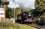 DSC_11796.jpg