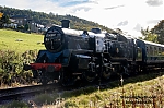 DSC_11803.jpg