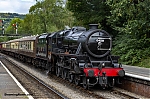 DSC_12166.jpg