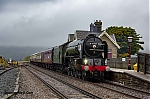 DSC_12228.jpg