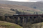 DSC_17302.jpg