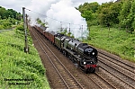 DSC_17896.jpg