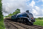 DSC_17908.jpg