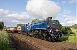 DSC_17935.jpg