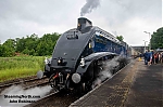 DSC_18028.jpg