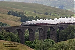 DSC_18153.jpg