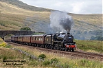 DSC_18205.jpg
