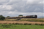DSC_18321.jpg