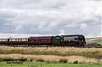 DSC_18325.jpg