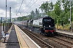 DSC_18344.jpg