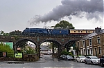 DSC_18389.jpg
