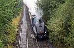 DSC_18403.jpg