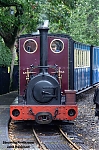 DSC_18492.jpg
