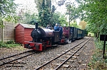 DSC_18517.jpg
