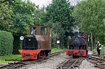 DSC_18526.jpg