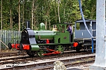 DSC_18620.jpg